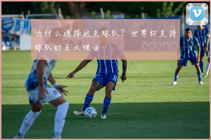为什么选择这支球队？世界杯支持球队的五大理由