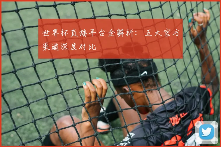 世界杯直播平台全解析：五大官方渠道深度对比