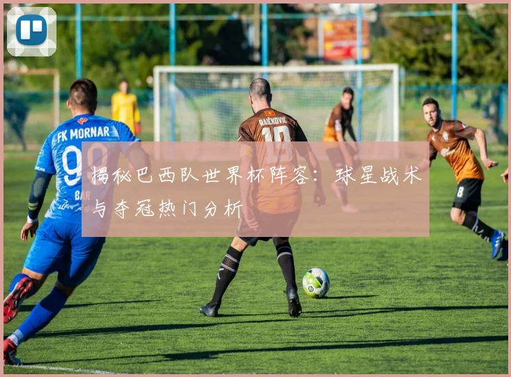 揭秘巴西队世界杯阵容：球星战术与夺冠热门分析